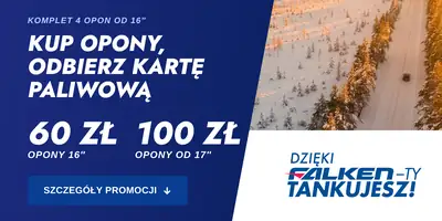 Falken 2026 · karta paliwowa do 100 zł