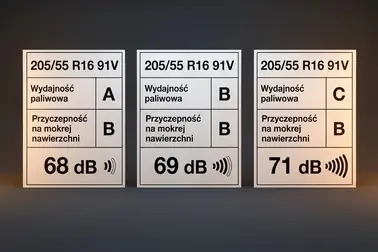 Porównanie etykiet trzech opon w pełnym rozmiarze 205/55 R16 91V