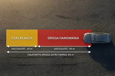 Odcinki drogi reakcji i drogi hamowania składające się na pełną drogę zatrzymania samochodu