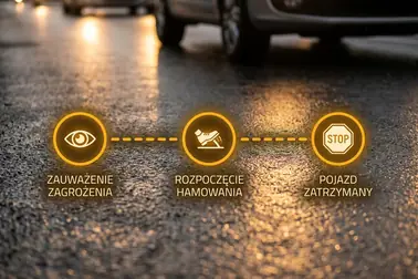 Trzy punkty procesu zatrzymywania: zauważenie zagrożenia, rozpoczęcie hamowania i całkowity postój
