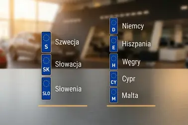 Zestawienie mylących kodów na tablicach: S, SK, SLO, D, E, H, CY i M wraz z nazwami państw