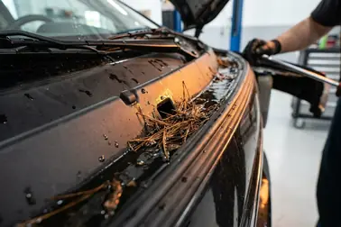 Uszczelki, podszybie i odpływy będące możliwymi drogami przedostawania się wody do samochodu