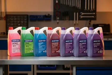 Warianty Borygo Nowy, Eko, Start G11, Premium G12/G12+, Supreme G12++, Ultimate G13 i G12 EVO zestawione według deklaracji